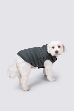 Macpac Dog Coat