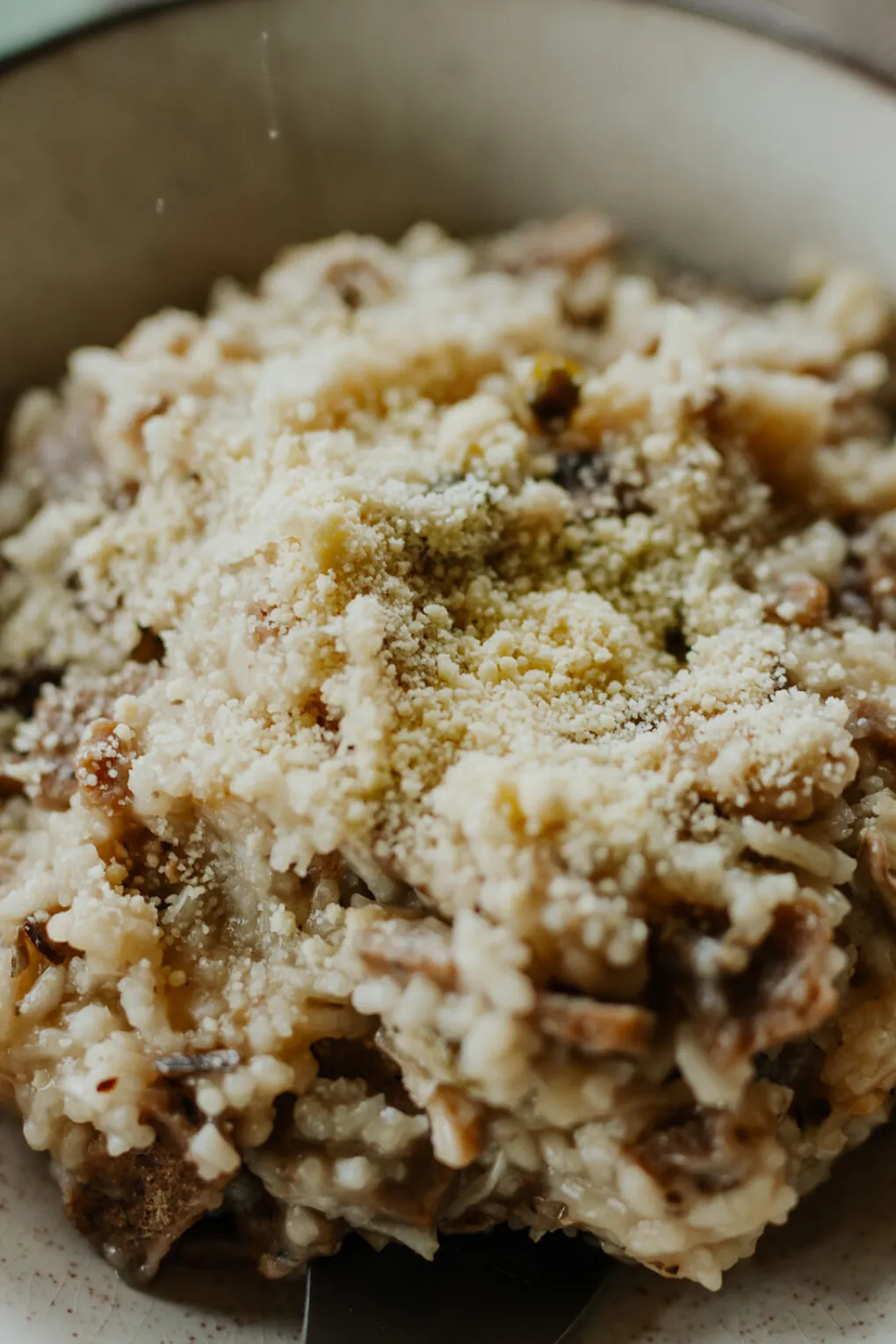 The Outdoor Gourmet Company Wild Mushroom and Lamb Risotto —190 g